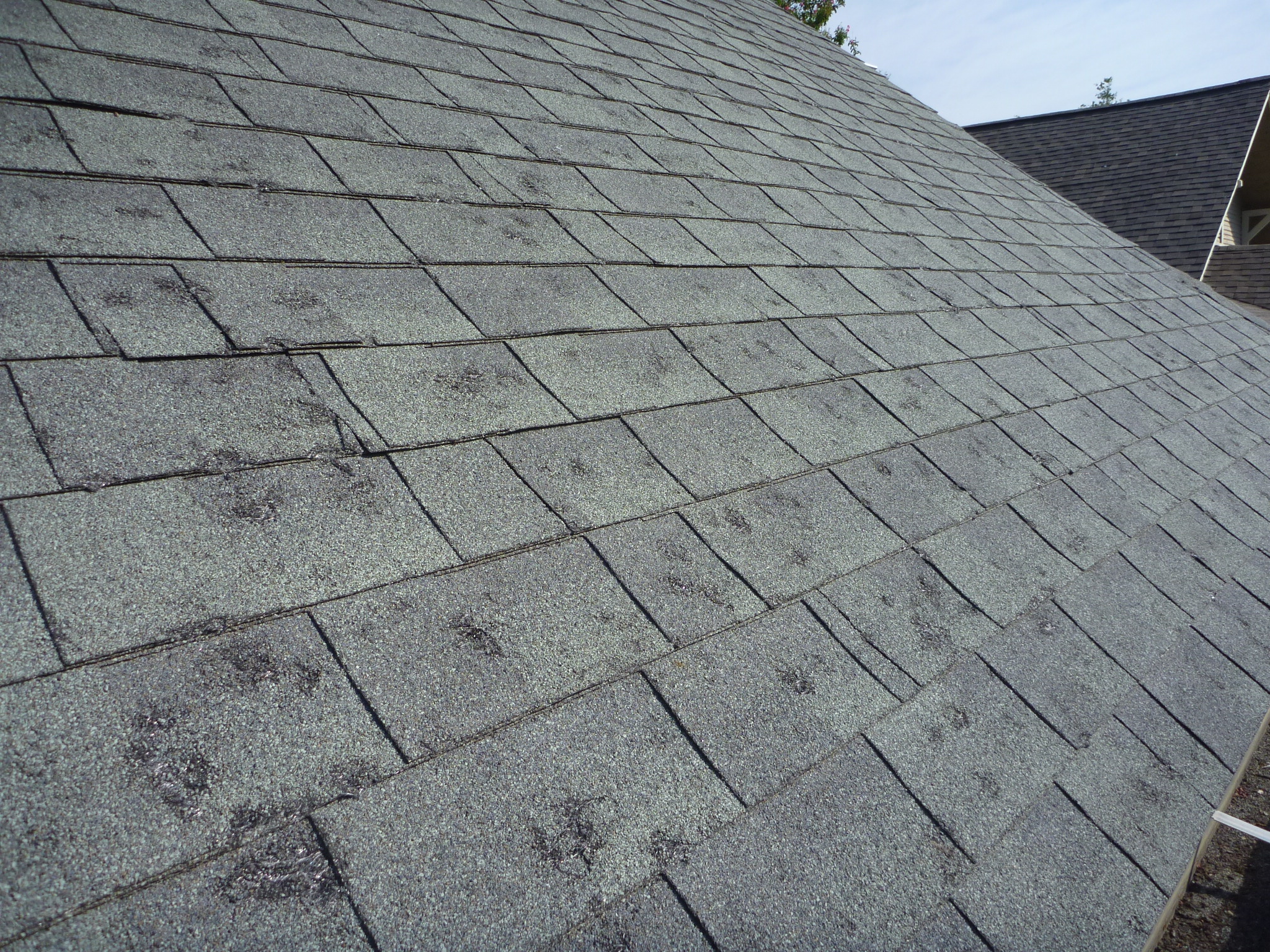 Hail damage on asphalt roof shingles